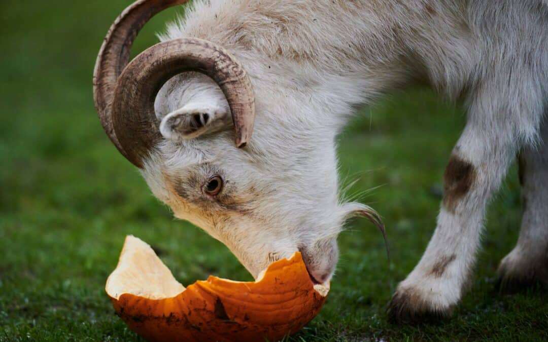Autumn school trips in the South East